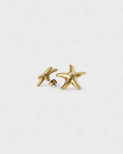 Estrella de mar - Pendientes de botón - Pendientes - Acero inoxidable
