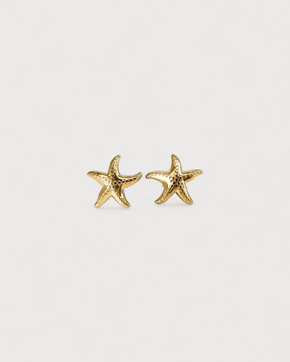 Estrella de mar - Pendientes de botón - Pendientes - Acero inoxidable