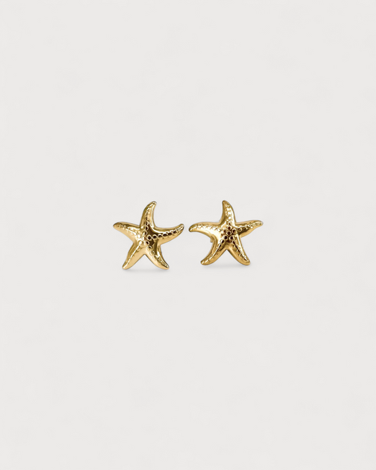 Estrella de mar - Pendientes de botón - Pendientes - Acero inoxidable