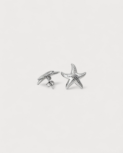 Estrella de mar - Pendientes de botón - Pendientes - Acero inoxidable