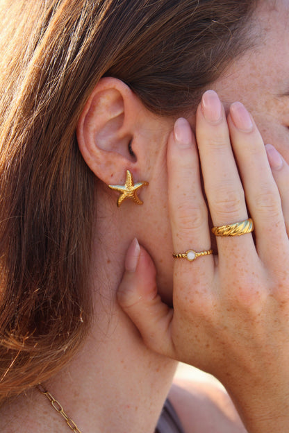 Estrella de mar - Pendientes de botón - Pendientes - Acero inoxidable