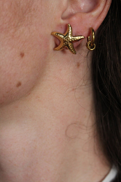 Estrella de mar - Pendientes de botón - Pendientes - Acero inoxidable